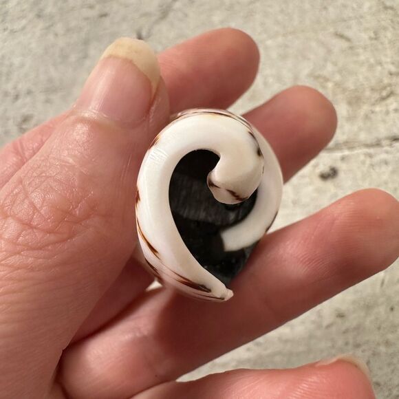 Vintage Chunky Shell And Mother And Pearl Carved Cocktail Ring - Picture 4 of 9